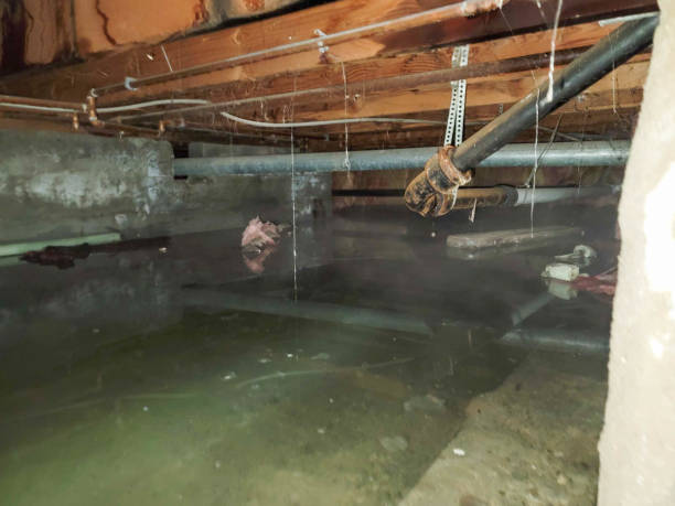 Sewage cleanup and water damage restoration in San Benito, TX