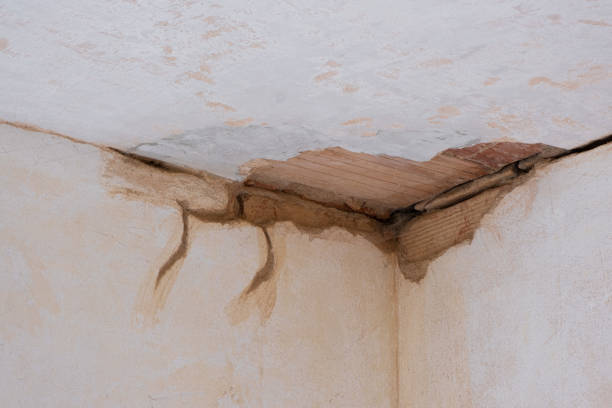 Best Residential water damage restoration  in San Benito, TX