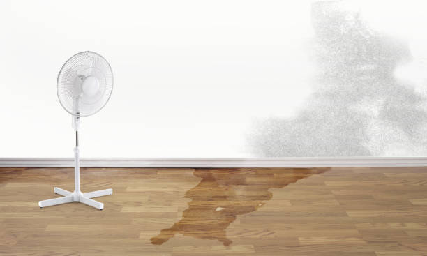 Best Water damage restoration cost  in San Benito, TX