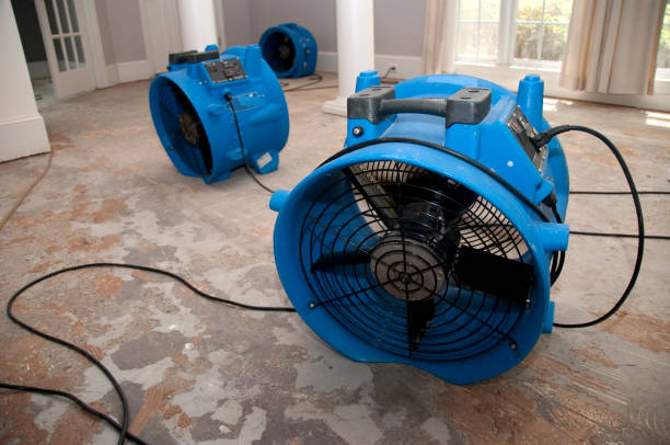  San Benito, TX Water damage restoration Pros
