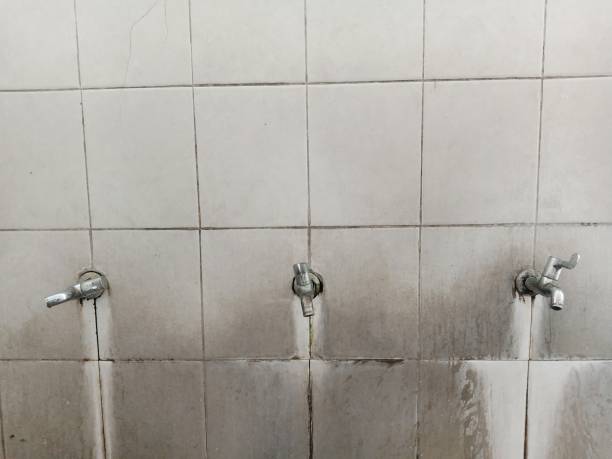 Trusted San Benito, TX Water damage restoration Experts