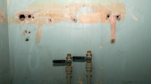 Reliable San Benito, TX Water damage restoration Solutions