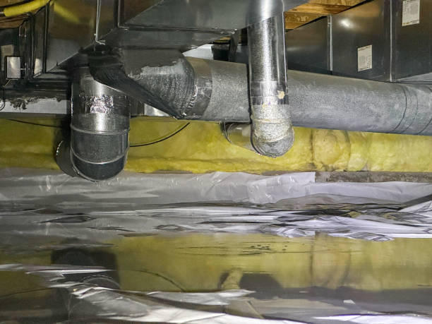 Best Water damage restoration near me  in San Benito, TX