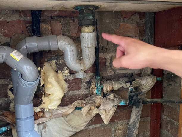 Best Water damage restoration company  in San Benito, TX