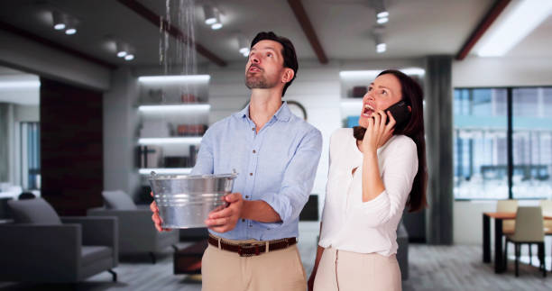 Best Water damage restoration specialists  in San Benito, TX